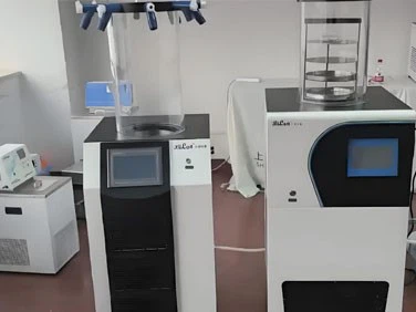 Small Freeze Dryer For Home Use | Shaanxi Achieve chem-tech Small Freeze Dryer For Home Use | Shaanxi Achieve chem-tech